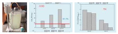 5 Enhanced side flow method for low carbon-to-nitrogen ratio wastewater